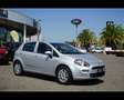 Fiat Punto 1.2 8V 5 porte Young Grigio - thumbnail 3