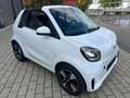 smart forTwo Cabrio/EQ Passion 22KW NAVI PDC Dach rot Weiß - thumbnail 7