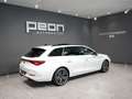 CUPRA Leon Sportstourer 2.0 TSI VZ DSG 228KW Blanco - thumbnail 15