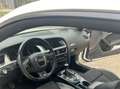 Audi A5 A5 I 2007 Coupe Coupe 2.0 tdi s-line quattro Bianco - thumbnail 5