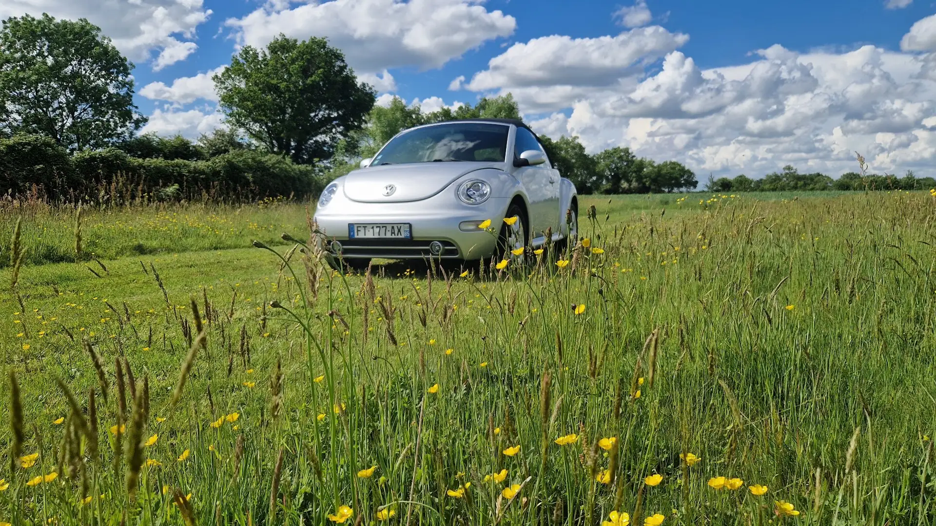 Volkswagen New Beetle Cab 1.6i - 1