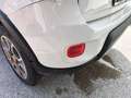 Fiat Panda 4x4 0,9 TwinAir Turbo 85 Antartica 30° Edition Weiß - thumbnail 6