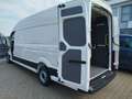 Volkswagen Crafter L5 H4  BUSSINES Bianco - thumbnail 10