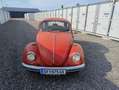Volkswagen Käfer - thumbnail 1