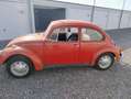 Volkswagen Käfer - thumbnail 5