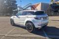 Land Rover Range Rover Evoque Range Rover Evoque 2.0 TD4 150 CV 5p. Business Edition SE Білий - thumbnail 7