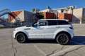 Land Rover Range Rover Evoque Range Rover Evoque 2.0 TD4 150 CV 5p. Business Edition SE Білий - thumbnail 8
