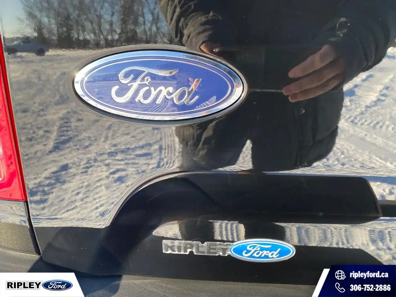 Ford Bronco Sport снимка Ford Bronco Sport
