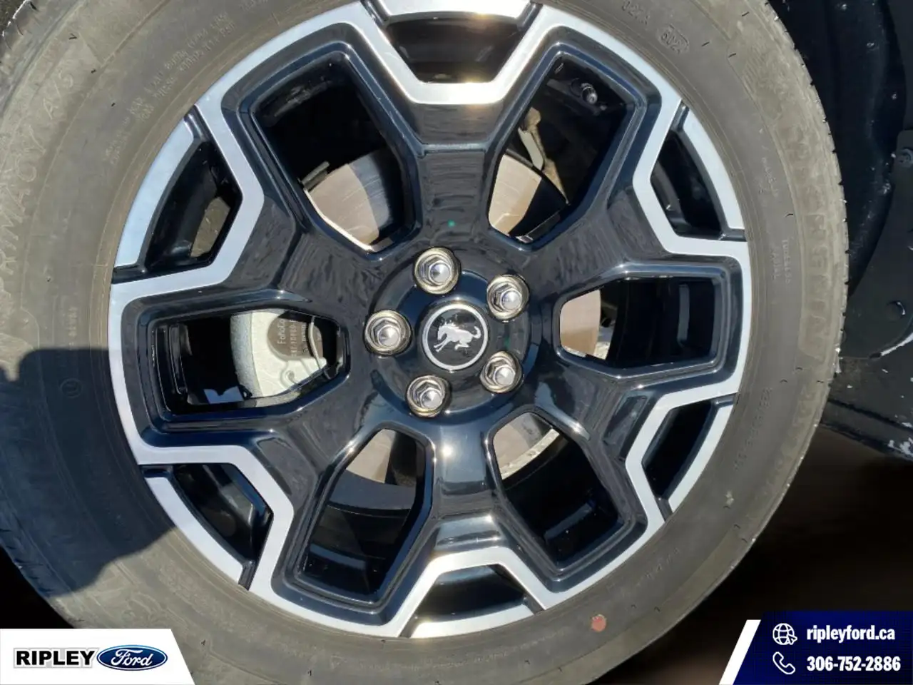 Ford Bronco Sport снимка Ford Bronco Sport