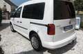 Volkswagen Caddy Conceptline BMT, Standheizung, GRA, PDC, Weiß - thumbnail 3