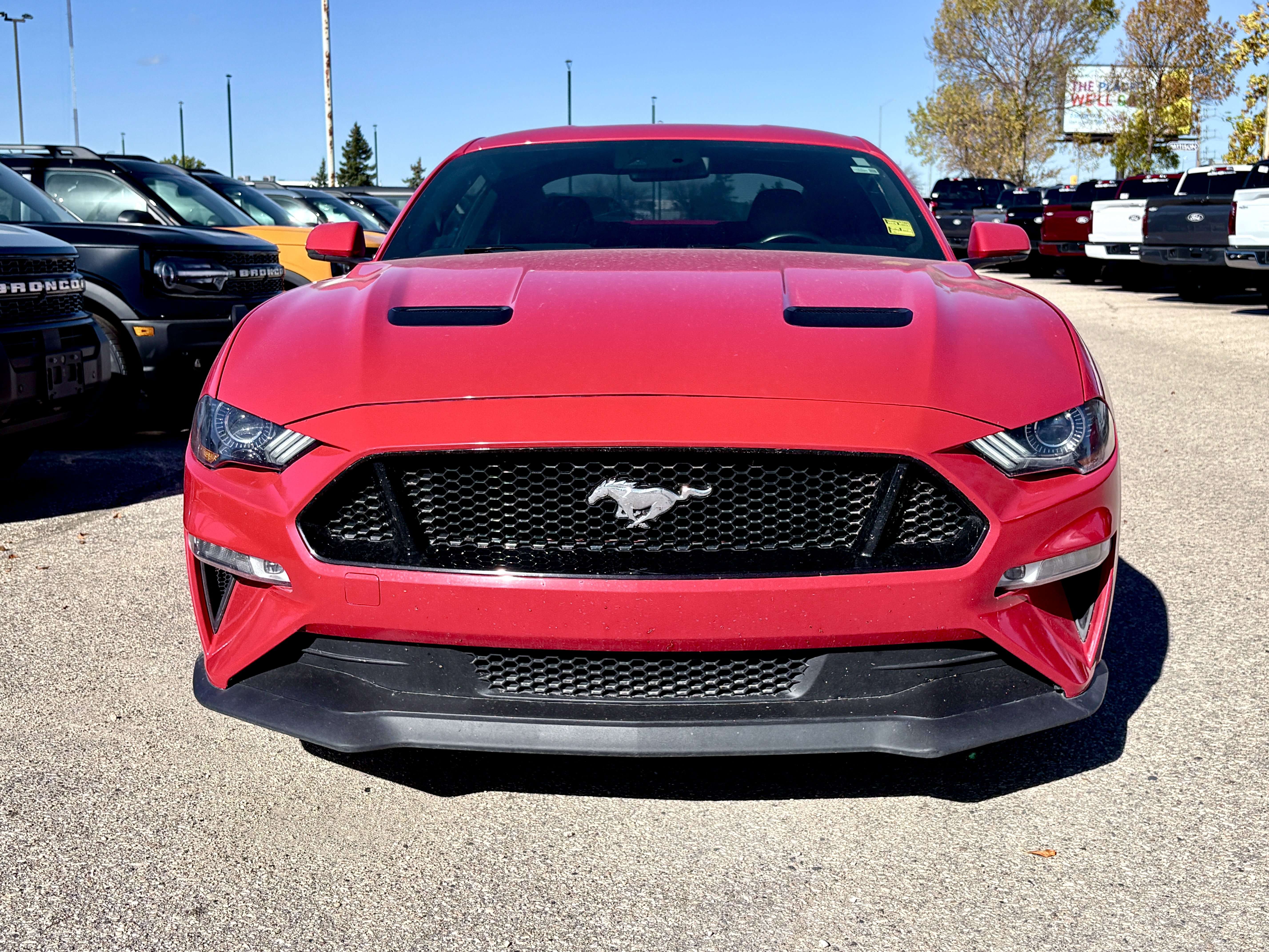 2019 Ford Mustang