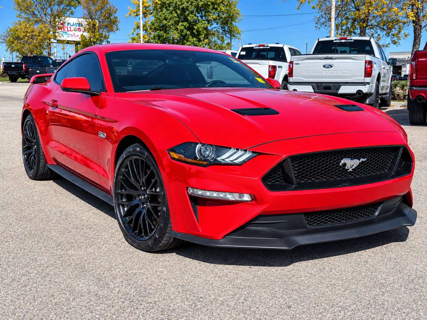 2019 Ford Mustang