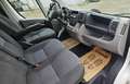 Peugeot Boxer Bus 3000 L1H1 2,2 HDi Weiß - thumbnail 11