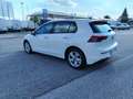 Volkswagen Golf 8ª serie 2.0 TDI 150 CV DSG Blanco - thumbnail 4