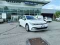 Volkswagen Golf 8ª serie 2.0 TDI 150 CV DSG Blanco - thumbnail 1