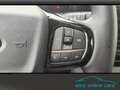 Ford Tourneo Custom Tit X L1 5J. Gar Matrix AHZV B&O Red - thumbnail 24