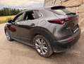 Mazda CX-30 Basis 2WD Silber - thumbnail 9