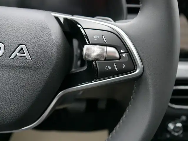 Skoda Scala view 14