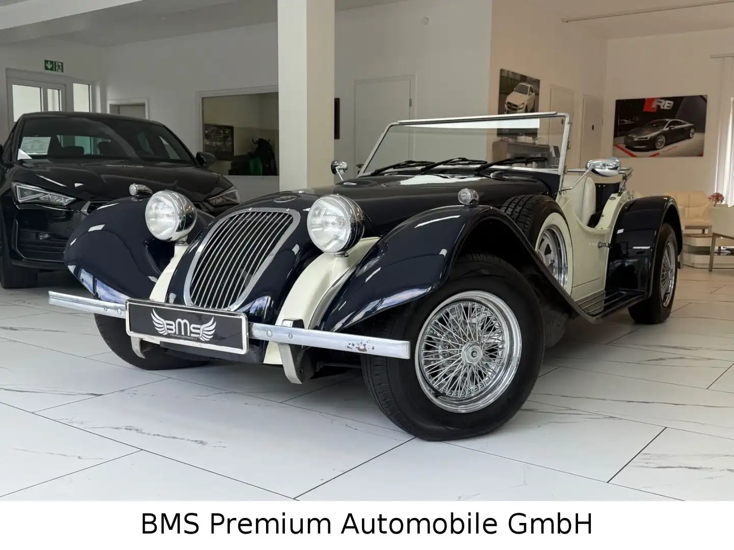 Sonstige Marken Merlin Sports Blau - 1