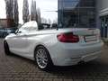 BMW 228 i Cabrio Advantage Xenon Navi HiFi elSitze SH Weiß - thumbnail 4