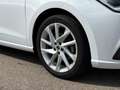SEAT Ibiza FR 1.0 TSI Black Edition Pano*Kamera*Carplay*ACC Blanc - thumbnail 9