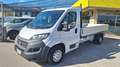 Fiat Ducato 35 2.3 MJT 140CV PL Cabinato N°GB865 Bianco - thumbnail 1