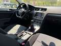Volkswagen Golf 1.6TDI CR BMT Advance 105 Blanco - thumbnail 13