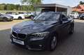 BMW 218 i Cabrio AdvantageNavi,Volleder,Parks,V&H,,,, Gris - thumbnail 3