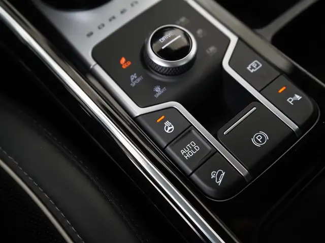 Kia Sorento view 12