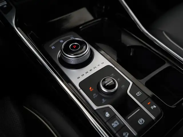 Kia Sorento view 10