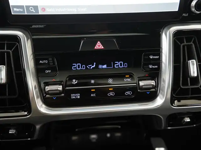 Kia Sorento view 13