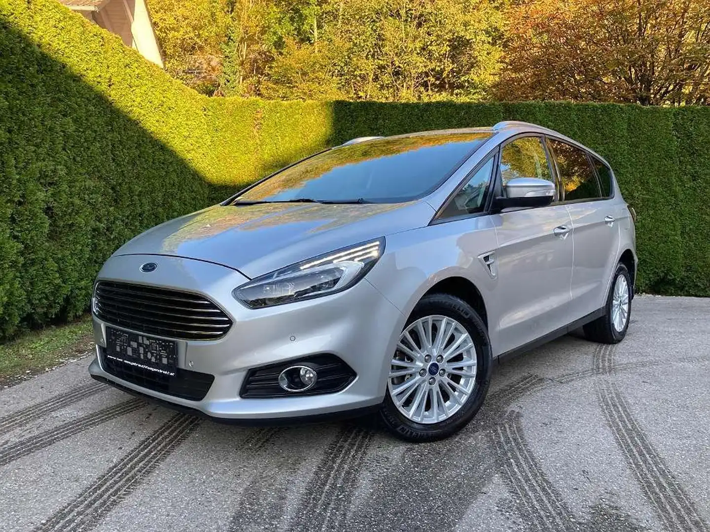 Ford S-Max S-MAX Business 2.0 EcoBlue SCR Aut. Argent - 1