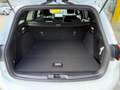 Ford Focus Turnier ST LINE 1,0EcoBoost Weiß - thumbnail 21