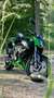 Kawasaki Z 300 ABS Green - thumbnail 1