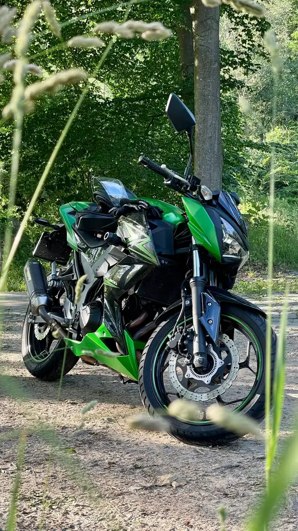 Kawasaki Z 300 ABS Green - 1