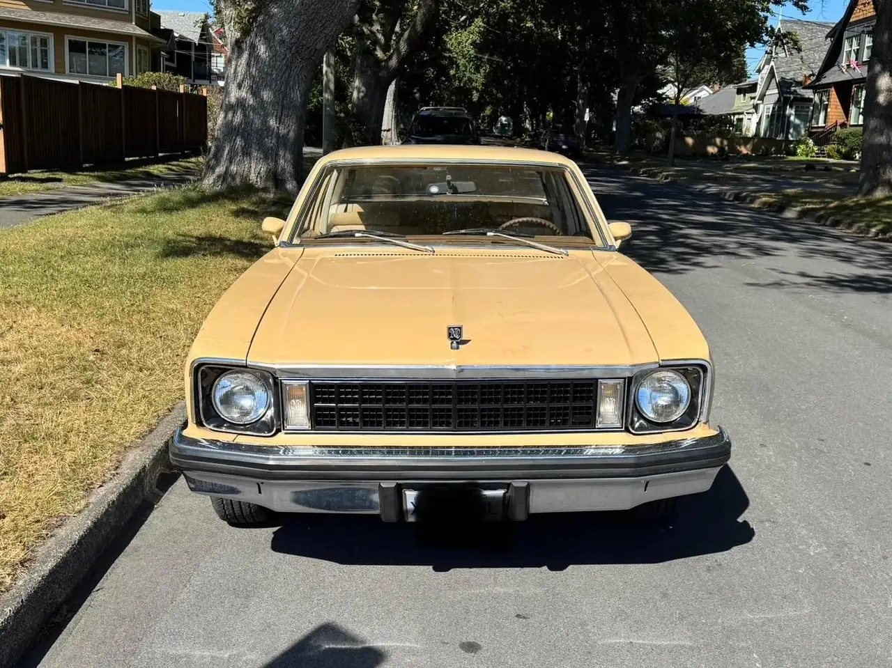 1976 Chevrolet Nova