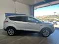 Ford Kuga 1.5 TDCI 120 CV  2WD Titanium IVA ESPOSTA Argento - thumbnail 4
