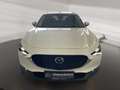 Mazda 2 025 Mazda CX-30 5WGN 2.5L e-SKYACTIV G 140ps 6MT F Alb - thumbnail 2