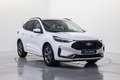 Ford Kuga 1.5 EcoBoost ST-Line FWD 150 Blanc - thumbnail 3