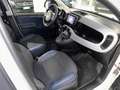 Fiat Panda Cross 1.0 FireFly S&S Hybrid Bianco - thumbnail 11