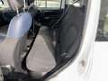 Fiat Panda Cross 1.0 FireFly S&S Hybrid Bianco - thumbnail 13