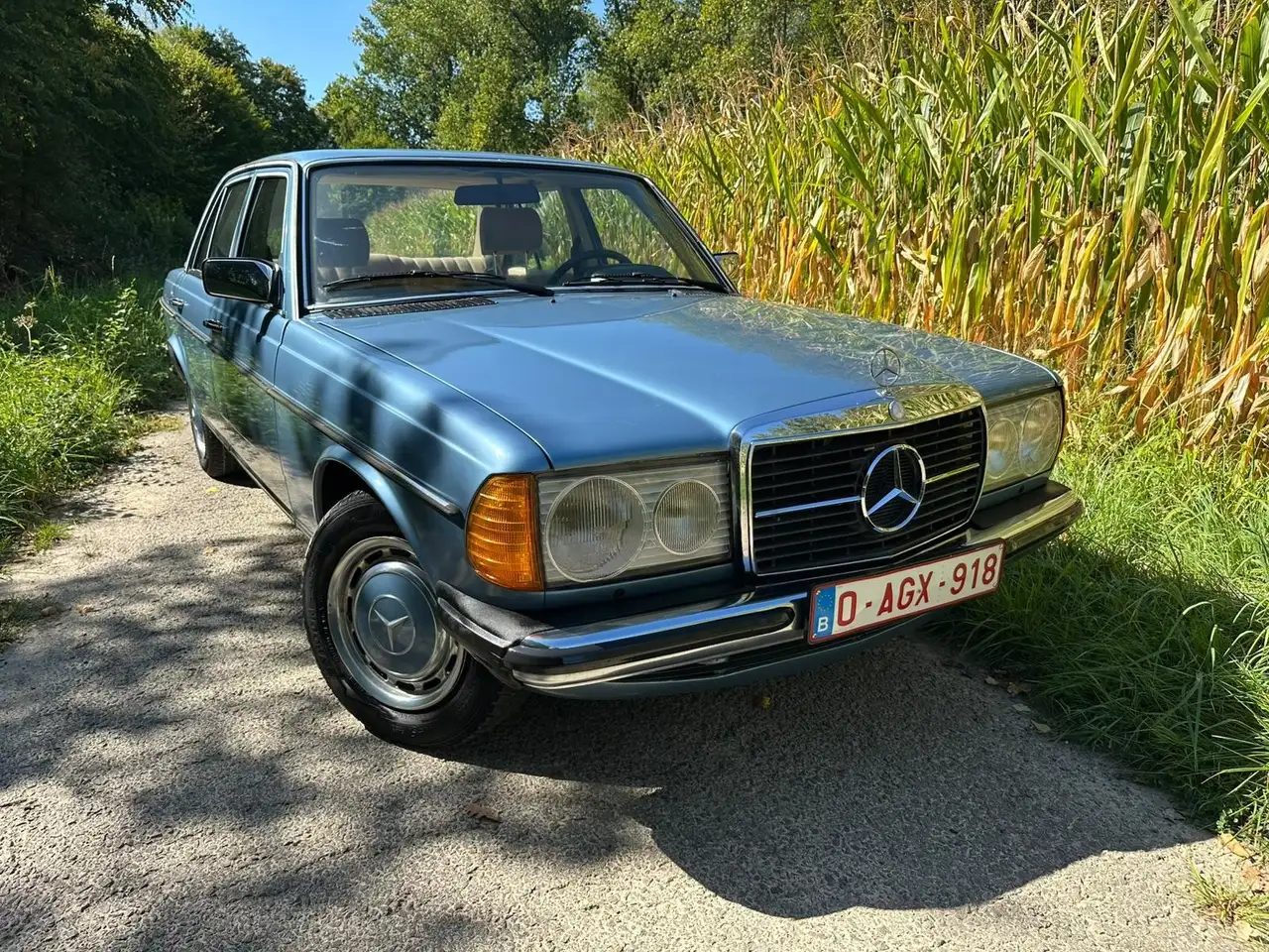 Mercedes-Benz Baureihe 123, foto 10