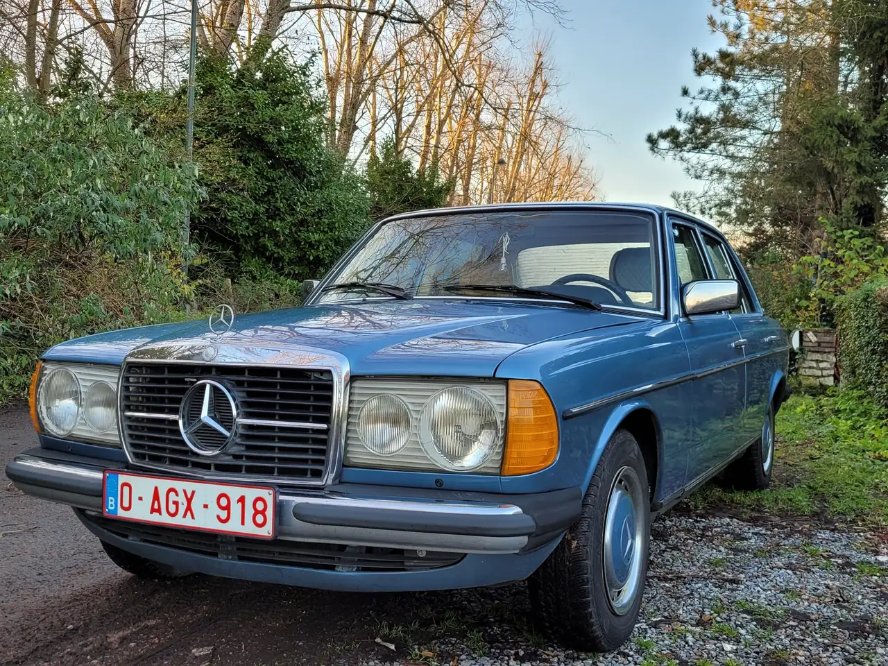 Mercedes-Benz Baureihe 123, foto 6