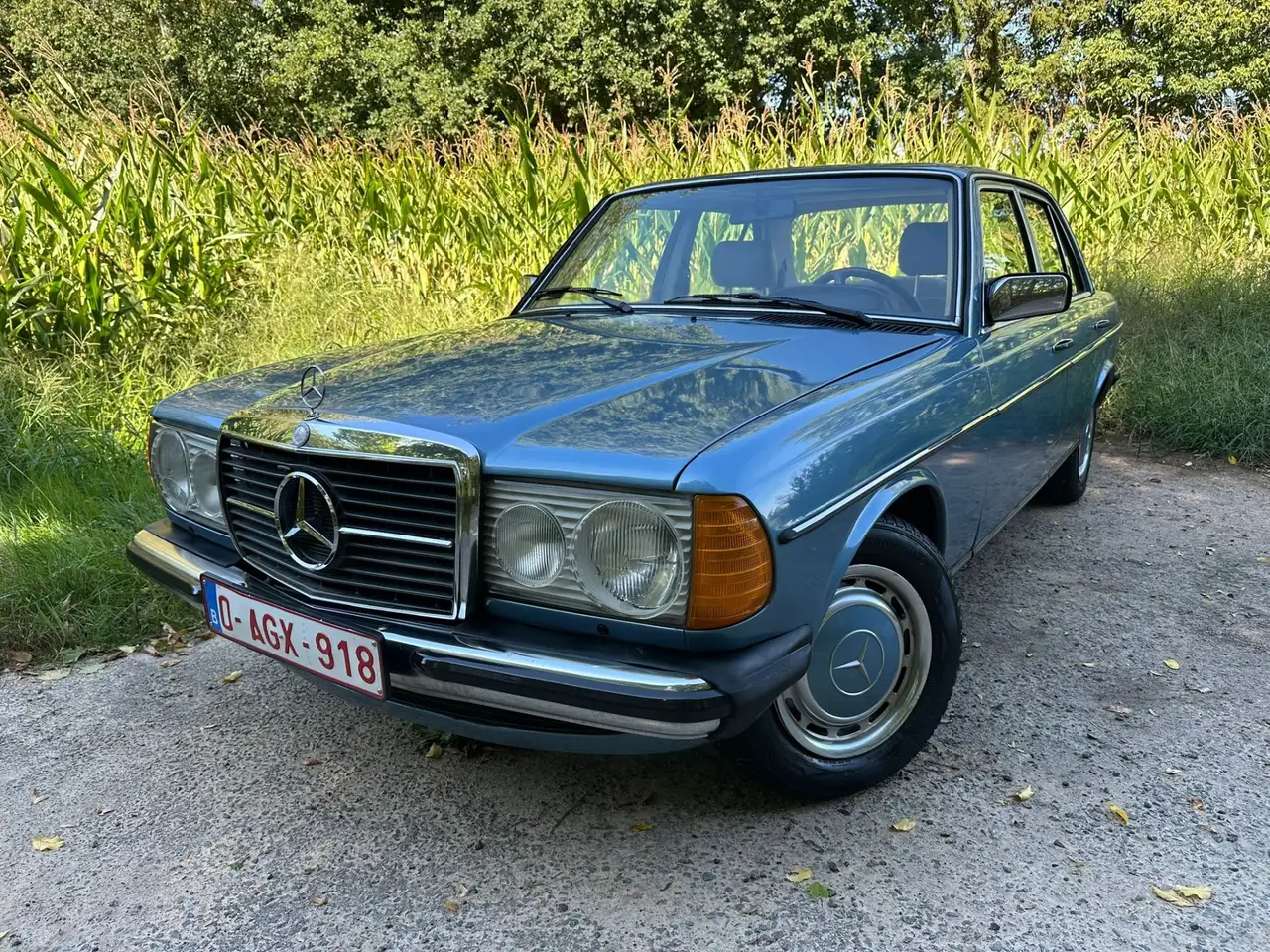 Mercedes-Benz Baureihe 123, foto 9