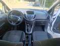 Ford B-Max B-Max 1.4 Business Titanium Gpl 87cv E6 Wit - thumbnail 10
