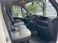 Fiat Ducato Pritsche Doppelk. 35 130  L4 Weiß - thumbnail 11