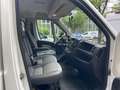 Fiat Ducato Pritsche Doppelk. 35 130  L4 Weiß - thumbnail 13