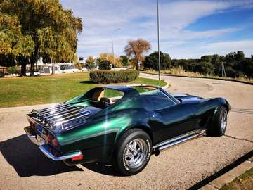 Stingray V8 350 Manual