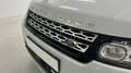 Land Rover Range Rover Sport 3.0TDV6 HSE Aut. Blanco - thumbnail 20
