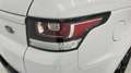 Land Rover Range Rover Sport 3.0TDV6 HSE Aut. Blanco - thumbnail 29